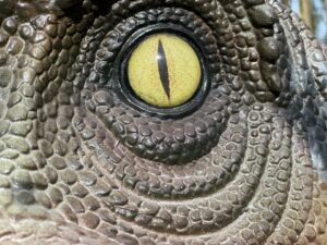 UK Adventure Trails at Raynham Estate Norfolk