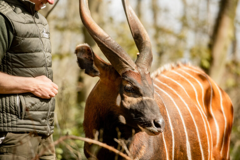 Watatunga Wildlife Reserve