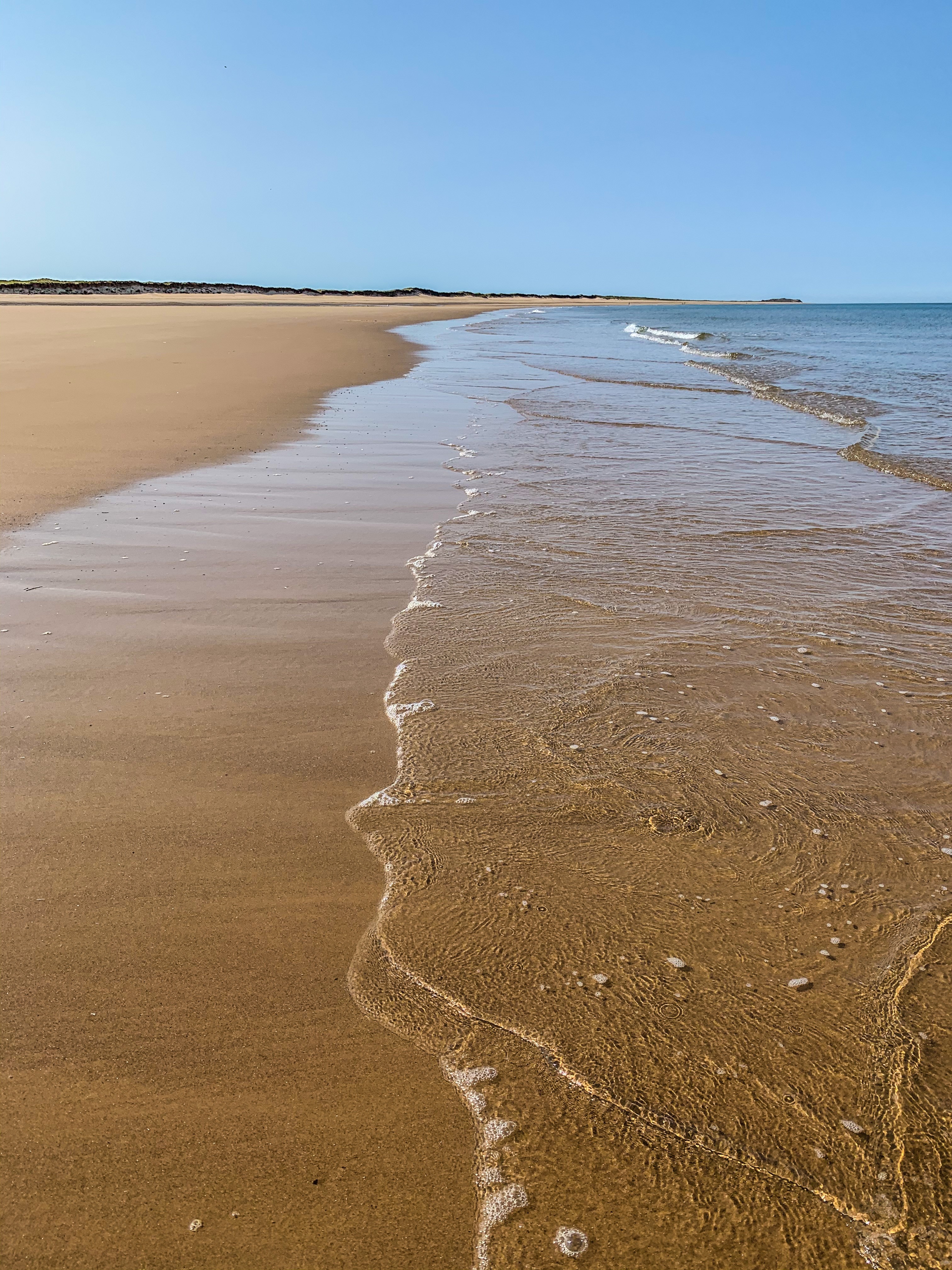The beach at Scolt Head Island, Norfolk. Glamping in Norfolk, Wild Meadow Raynham 