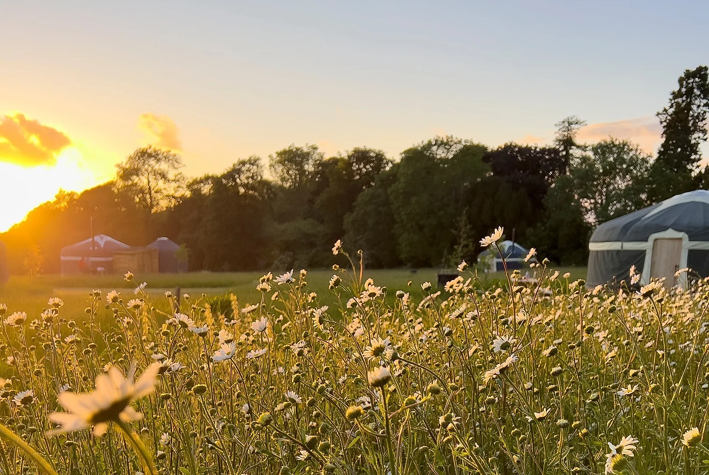 A photo of Yurts at sunset at the Luxury Glamping on Raynham Estate, Norfolk