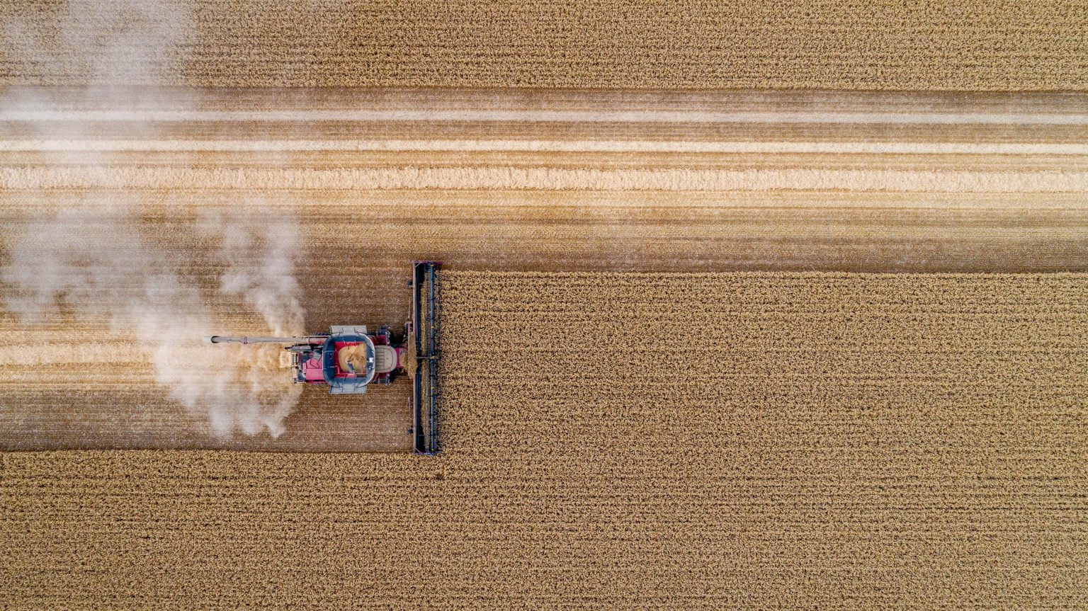 An overhead shot of a combine harvester at Raynham Farm