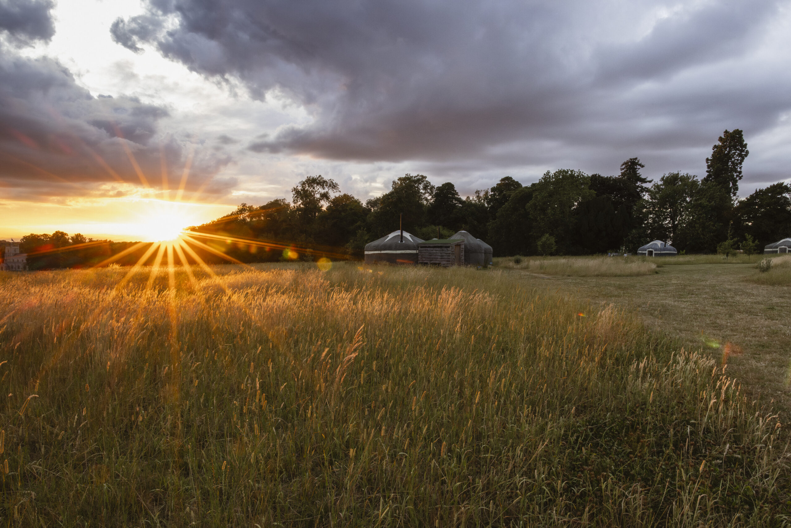 A view of the wild meadow glamping field at Raynham