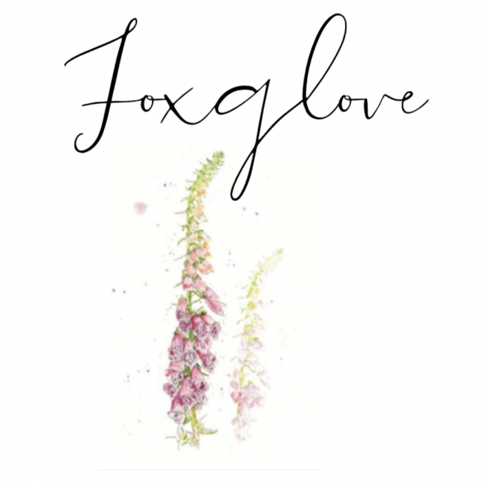 Foxglove luxury yurt raynham estate norfolk