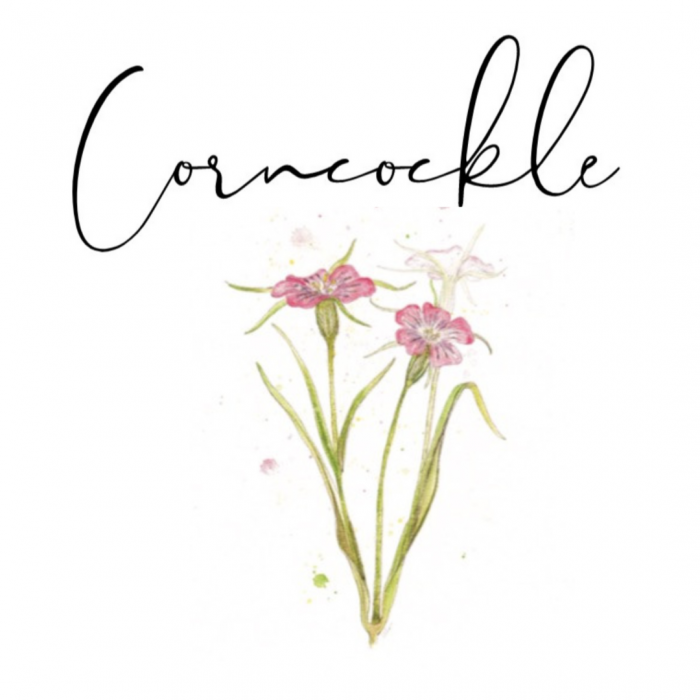 corncockle