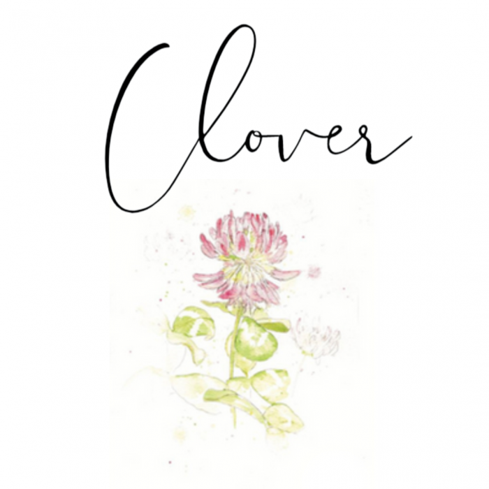 Clover luxury yurt Raynham estate