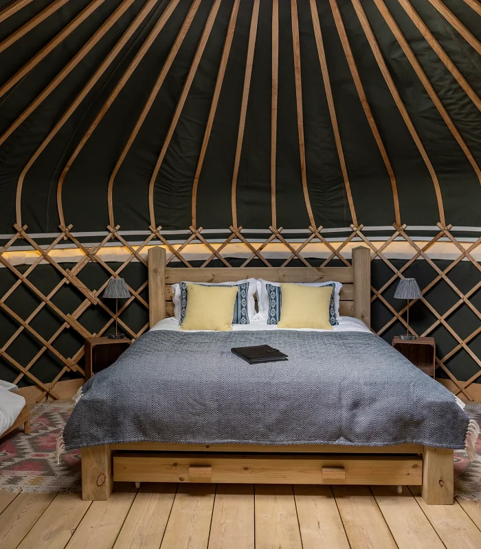 e700d0_7bb647813c6941248c0f6d02c86037b9~mv2